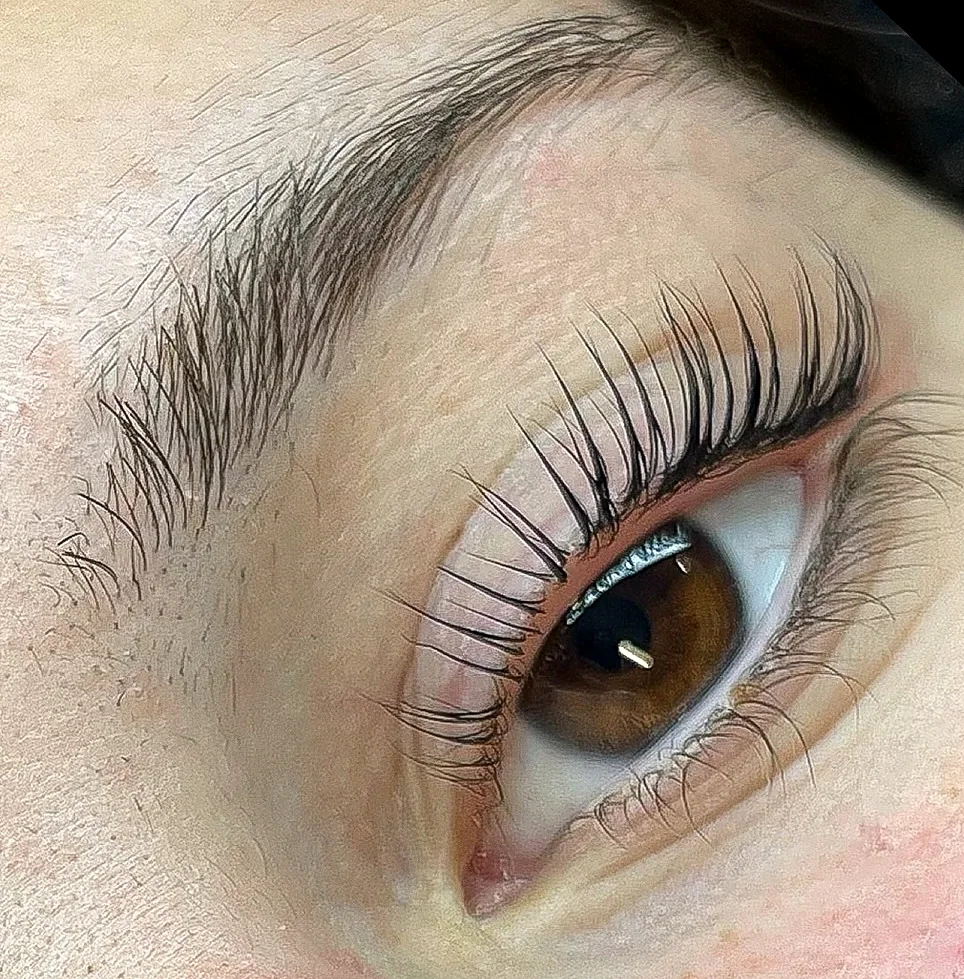 Lashlift an dunklen Wimpern, braunes Auge